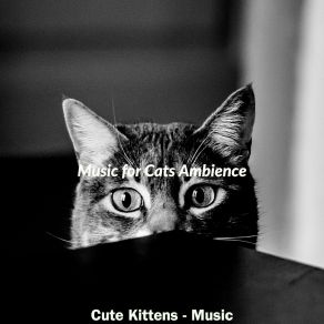 Download track Ambience (Cats) Music For Cats AmbienceThe Cats