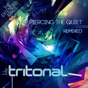 Download track Something New (Rafael Frost Remix) TritonalJenry R.