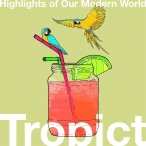 Download track Pangolin Nightlife Highlights Of Our Modern World