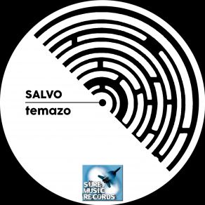 Download track Temazo Salvo