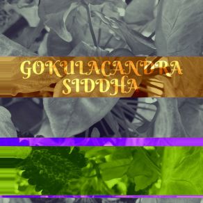 Download track Siddha Gokulacandra