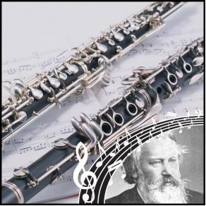 Download track Un Poco Allegretto Johannes Brahms