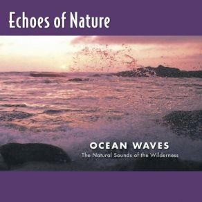 Download track Big Surf Echoes Of Nature