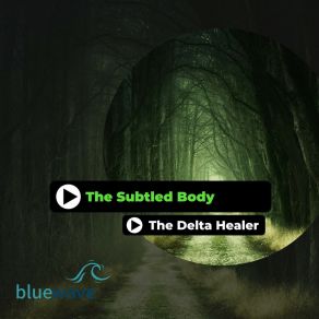 Download track Delta Healer The Subtled Body