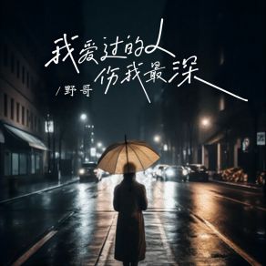 Download track 我爱过的人伤我最深 (伴奏) 野哥