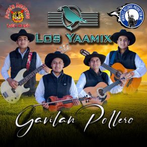 Download track Paso Doble Caminando Con Alegria Los Yaamix