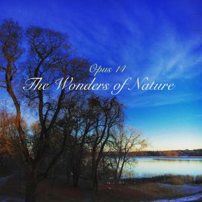 Download track Opus 14, No. 4 Wonders Of Nature