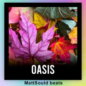 Download track Lady Soul MattSould Beats