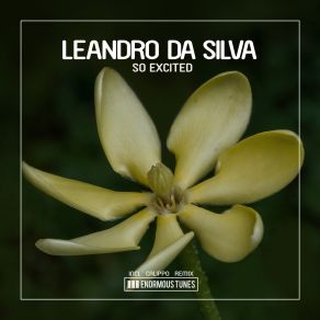 Download track So Excited (Calippo I Think I Like It Remix) Leandro Da Silva