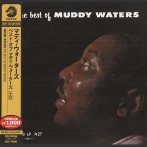 Download track Honey Bee Muddy Waters