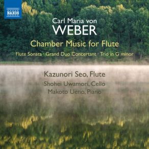 Download track Piano Sonata No. 2 In A-Flat Major, Op. 39, J. 199 (Arr. A. E. Müller For Flute & Piano) II. Andante Makoto Ueno, Kazunori Seo, Shohei Uwamori