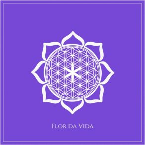 Download track Flor Da Vida (Interlúdio) FreelogiaGomes Freitera, Quadro Em Branco