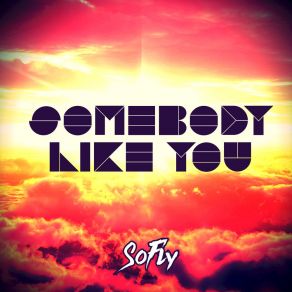 Download track Somebody Like You (Radio Edit) SoFly