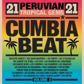 Download track Cumbia Del Puerto Los Demonios De Corocochay