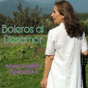 Download track Bendito Destino María Angelica Reyes Bravo