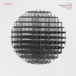 Download track Common Form Ri Za