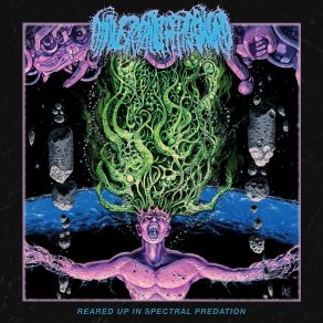 Download track Reared Up In Spectral Predation Universally Estranged