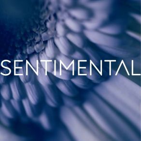 Download track SENTIMENTAL SPUNKMIRE