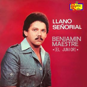 Download track Amargo Llanto Benjamín Maestre