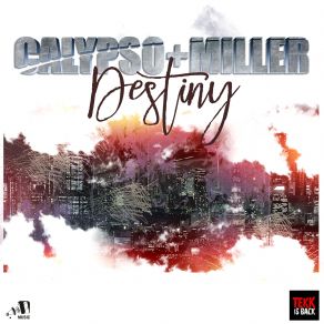 Download track Destiny (3 Jahre Tekk Is Back Intro Version) Miller, Calypso