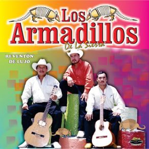 Download track Jovencita Los Armadillos De La Sierra