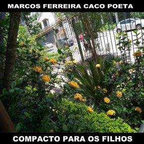 Download track Meus Meninos Marcos Ferreira Caco Poeta