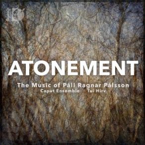 Download track Atonement Tui Hirv, Caput Ensemble, Gudni Franzson