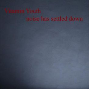 Download track Noise Has Settled Down Vitamin Youth