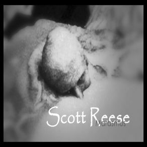 Download track The Old Gods Scott Reese