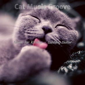 Download track Alluring Ambience For Cute Cats Cat Music Groove