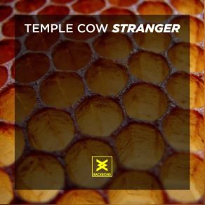 Download track Never Let You Go Temple Cow