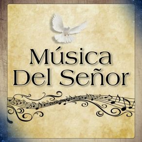 Download track Hay Una Fiesta Musica Del Señor