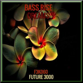 Download track Dreams (Radio MIx) Bass Rise