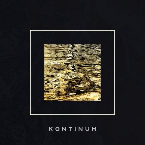 Download track Palindrome (Original Mix) Kontinum