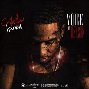 Download track Survivor Cashflow Harlem