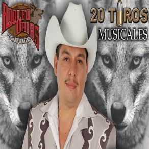 Download track Que Seas Mi Mujer Adolfo Urias Y Su Lobo Norteño