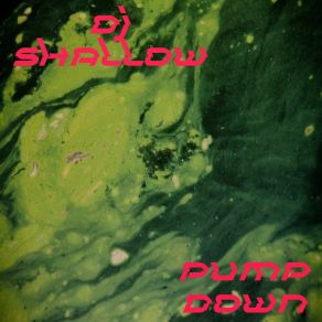 Download track Weezle DJ Shallow