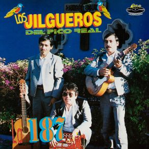 Download track La Chichihua Los Jilgueros Del Pico Real