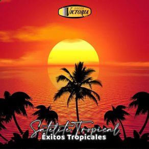 Download track Cinco Años Veinte Días Satelite Tropical