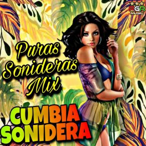 Download track Amigos No Cumbias Sonideras