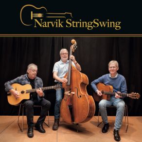 Download track Beautiful Waves Narvik StringSwing