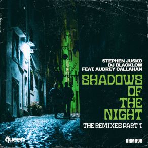 Download track Shadows Of The Night (Dan Slater Disco Radio Mix) Audrey CallahanDan Slater