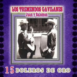 Download track Estoy Pagando Los Tremendos Gavilanes Juan