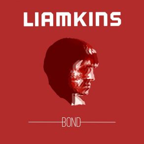 Download track Voice On A Tape Liamkins