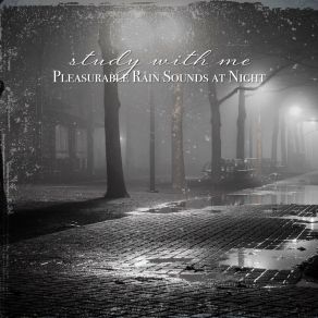 Download track Pleasurable Rain Sounds At Night, Pt. 1 Sebastian Riegl