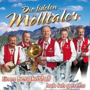 Download track Moelltaler Gold Medley Die Fidelen Moelltaler