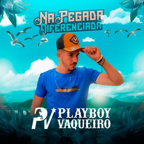 Download track Tô De Volta Pro Interior Playboy Vaqueiro