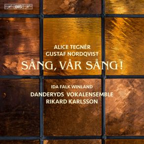 Download track Gustaf Nordqvist: Feststycke Danderyds Vokalensemble, Rikard Karlsson