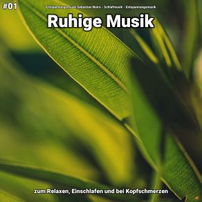 Download track Ruhige Musik Pt. 25 Entspannungsmusik