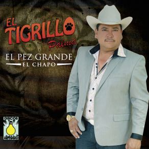 Download track Pea Grande (El Chapo) El Tigrillo Palma